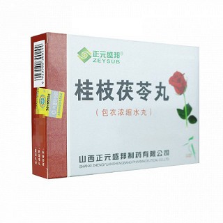 正元盛邦 桂枝茯苓丸 0.22g*90丸