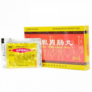 生命之舟 雪胆胃肠丸 4.5g*6袋