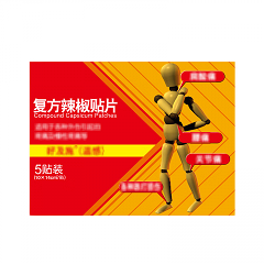 好及施（温感） H复方辣椒贴片 （10cm*14cm)*5贴