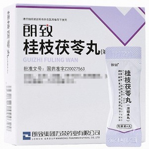 朗致 桂枝茯苓丸(浓缩水丸) 6丸*8袋