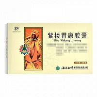 云丰 紫楼胃康胶囊 0.45g*12粒*2板