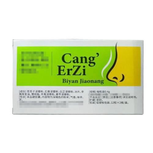 顺通 苍耳子鼻炎胶囊 0.4g*12片*2板