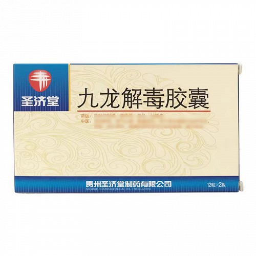 圣济堂 九龙解毒胶囊  0.3g*24片