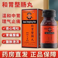 丹南泰 和胃整肠丸 0.2g*120丸