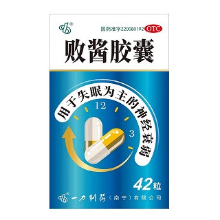 一力 败酱胶囊 0.5g*42粒