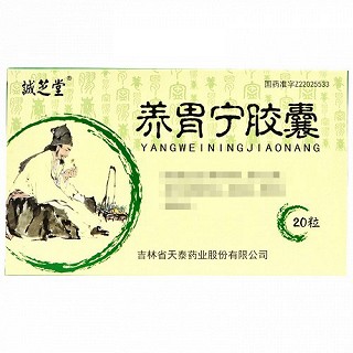 诚芝堂 养胃宁胶囊 0.3g*10粒*2板