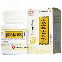 安友 哈敦海鲁木勒九味丸 15g