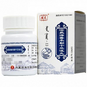 安友 哈敦海鲁木勒十三味丸 15g