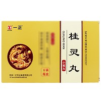 一正 桂灵丸 6.5g*6袋(小蜜丸)