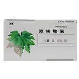 致康 致康胶囊 0.3g*36粒