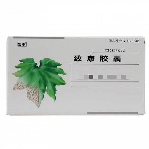 致康 致康胶囊 0.3g*36粒