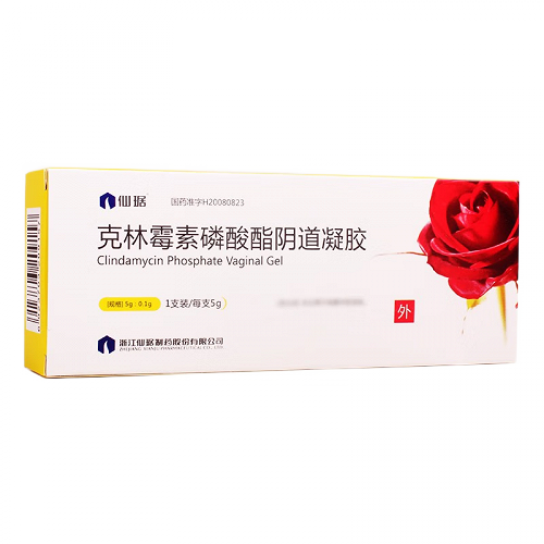 仙琚 克林霉素磷酸酯阴道凝胶 5g:0.1g*1支