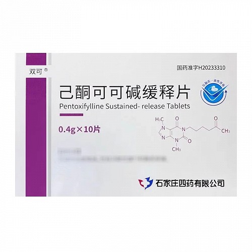 双可 己酮可可碱缓释片 0.4g*10片