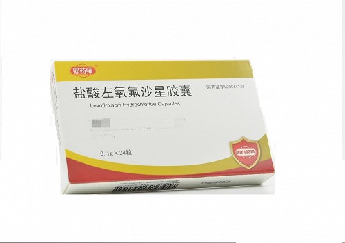 熙药师 盐酸左氧氟沙星胶囊 0.1g*24片
