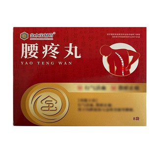 金水宝制药 腰疼丸 9g*16袋