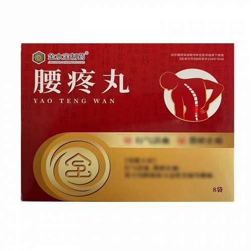 金水宝制药 腰疼丸 9g*16袋