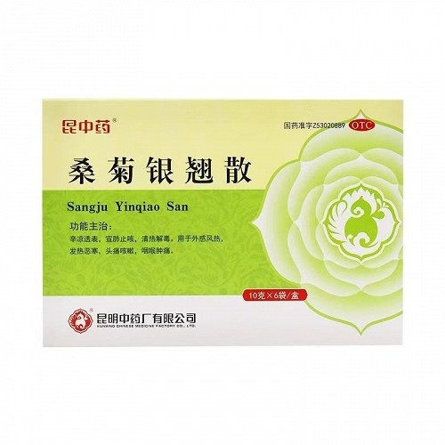 昆中药 桑菊银翘散 10g*6袋