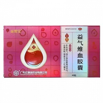 益雪宝 益气维血胶囊 0.45g*12片*4板