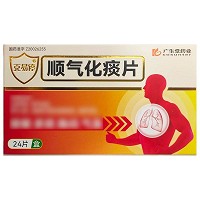 克易停 顺气化痰片 0.27g*24片