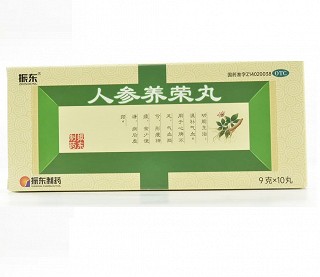 振东 人参养荣丸  9g*10丸