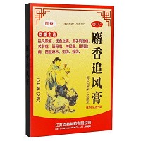 百益 麝香追风膏 7cm*10cm*5片*2袋