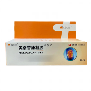 吉贝尔药业/吉康宁 美洛昔康凝胶  25g