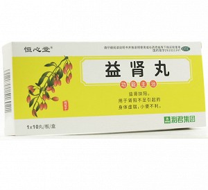 恒心堂 益肾丸  9g*10丸*1板(大蜜丸)