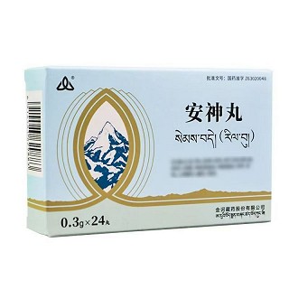 金诃 安神丸 0.3g*12丸*2板
