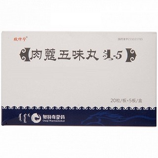 丹神 肉蔻五味丸 20粒*5板