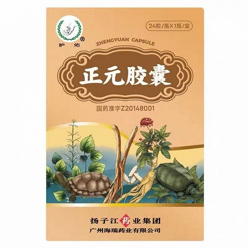 护佑  H正元胶囊   0.45g*24粒