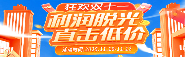 双11正式