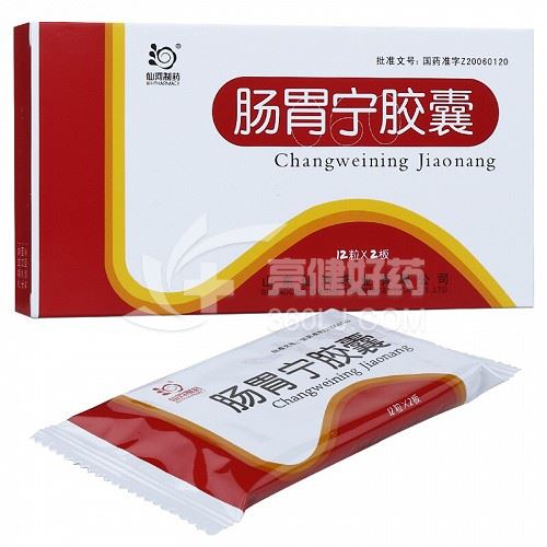 仙河制药 肠胃宁胶囊（仅限C端）  0.3g*24粒