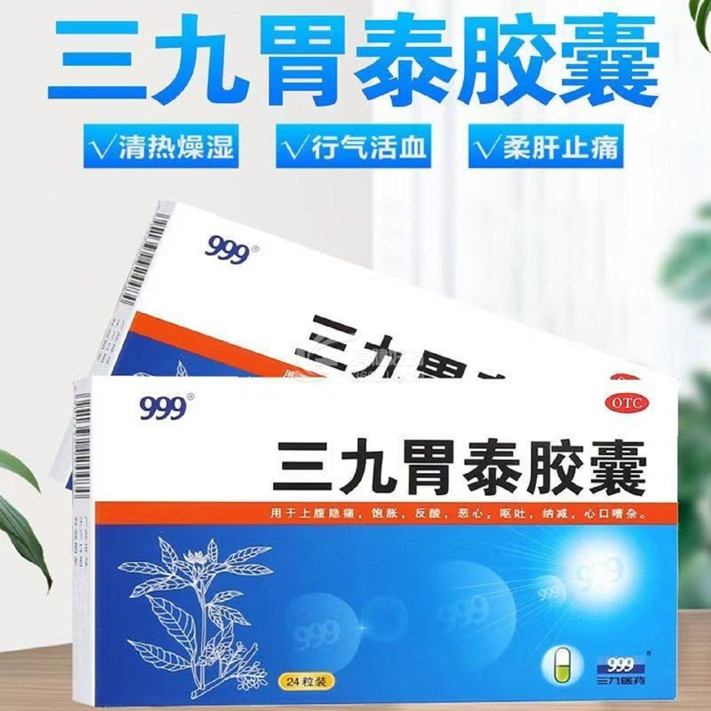 999牌 三九胃泰胶囊 0.5g*12粒*2板