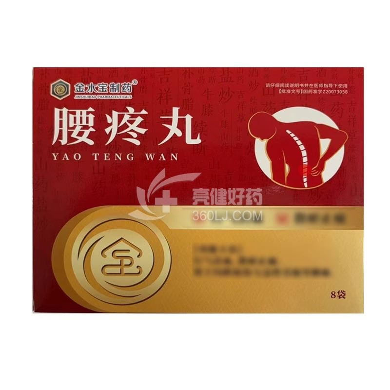 金水宝制药 腰疼丸 9g*16袋