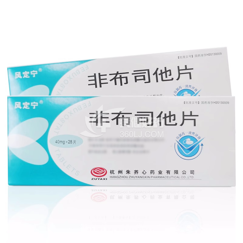 风定宁 H非布司他片  40mg*14片*2板