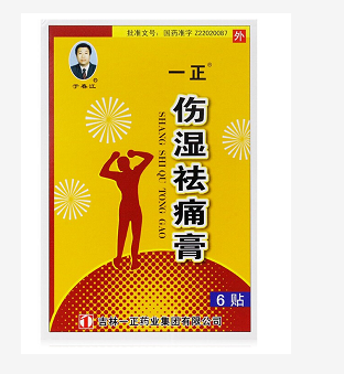 伤湿祛痛膏（一正）的说明书内容是什么？