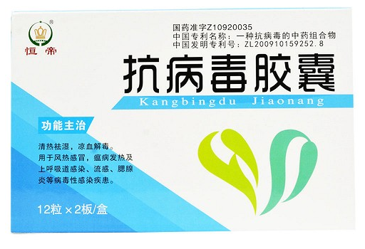 抗病毒胶囊（恒帝）说明书的内容是什么？